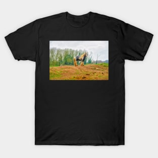 Gypsy Horse T-Shirt